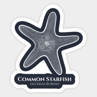 Starfish with Common and Latin Names - sea animal drawing Sticker